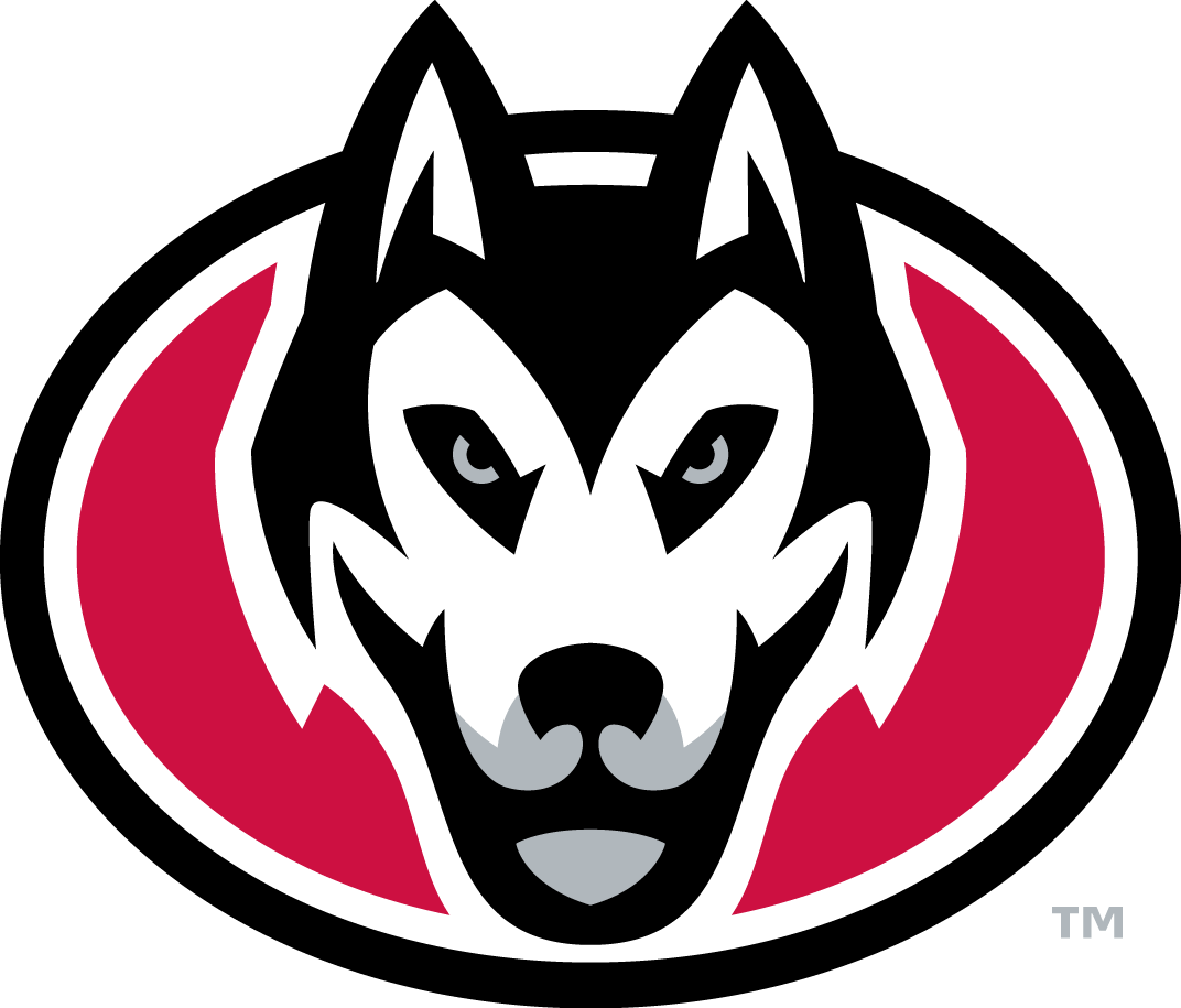 St. Cloud State Huskies 2014-Pres Secondary Logo diy DTF decal sticker